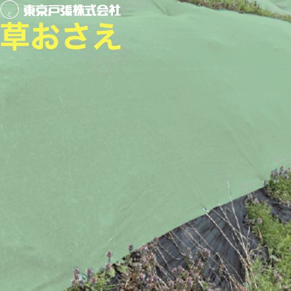 東京戸張 草おさえ 緑 網目1mm 雑草抑制ネット 高強度・高耐久 法面 畦