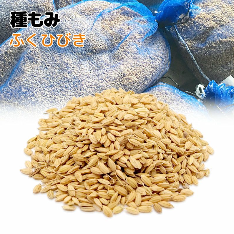 令和8年用水稲種子（種籾）4kg 水稲種子 | アグリマート・シミズ