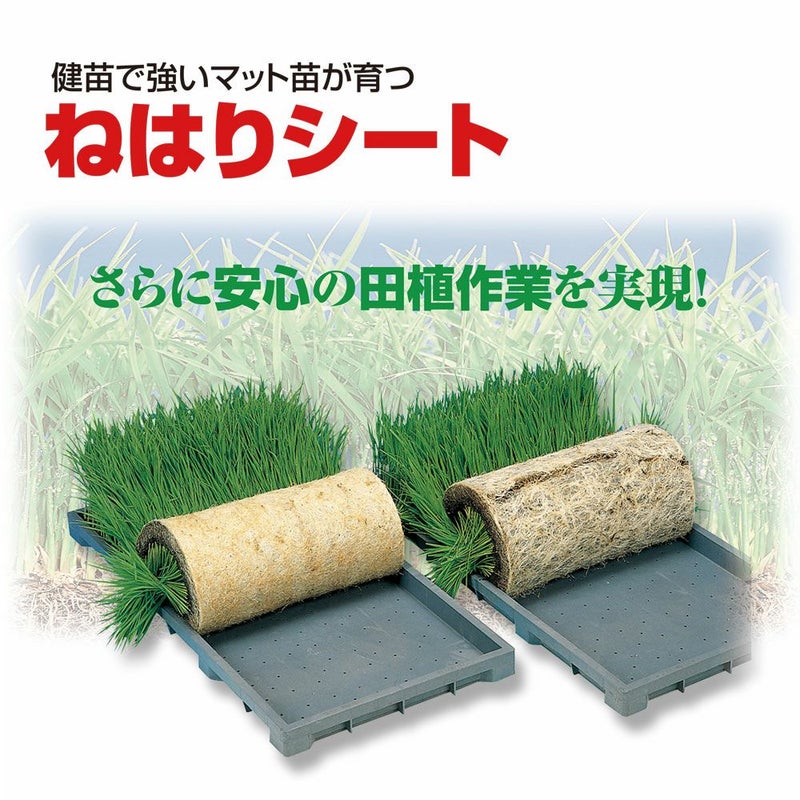 ねはりシート　育苗箱敷紙
