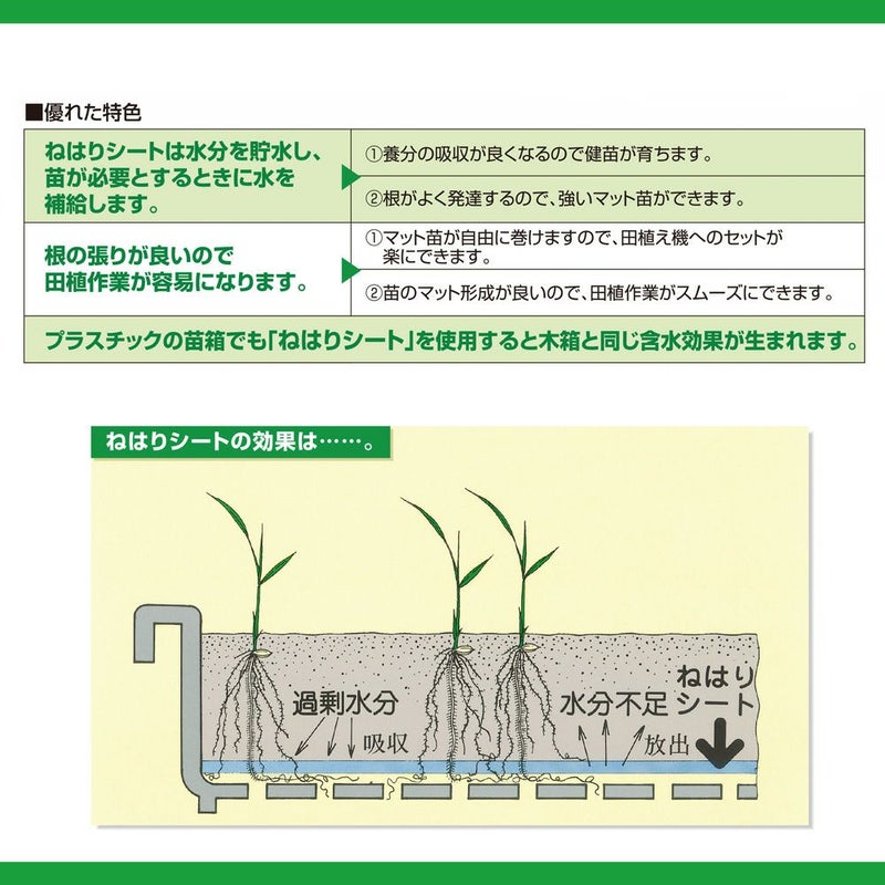 ねはりシート　育苗箱敷紙