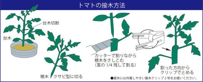 接木クリップ2号 ナス・すいか・トマト用 200個入 | 農家のお店おてん