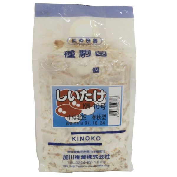 きのこ種駒菌】加川 しいたけ菌 KM-10号（500駒）＜中低温性＞春・秋型