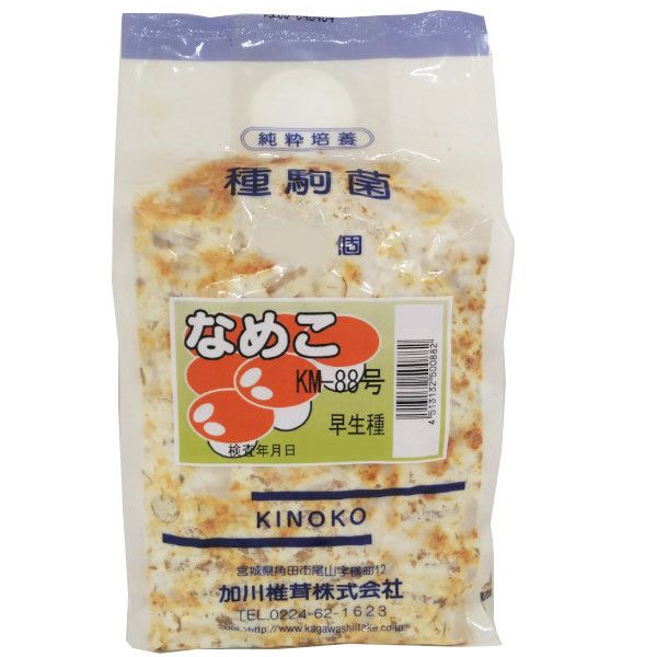 きのこ種駒菌】加川 なめこ菌 KM-88号（250駒）＜早生種＞ 種菌 | 農家
