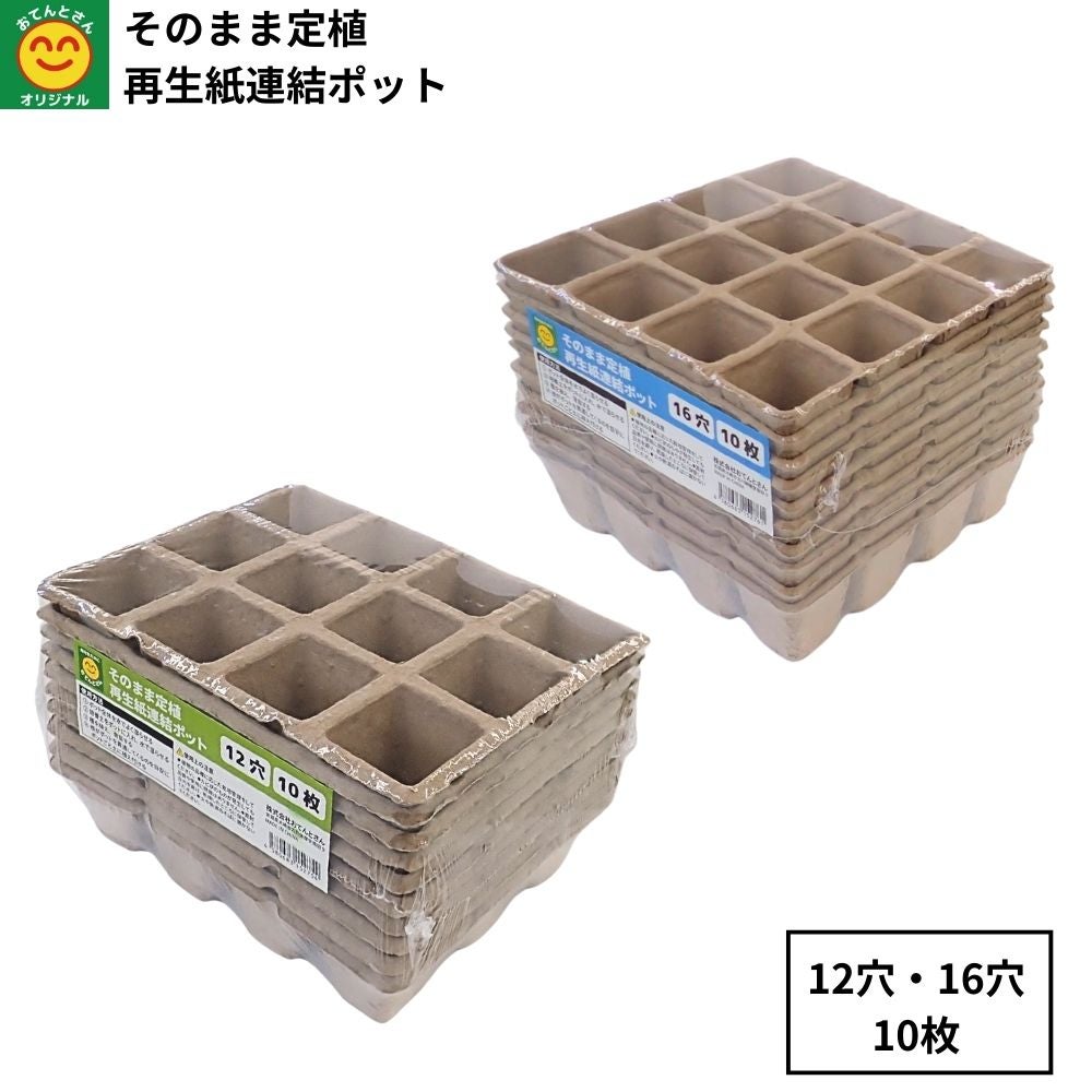 そのまま定植 再生紙連結ポット 12穴/16穴 10枚入 | 農家のお店おてん