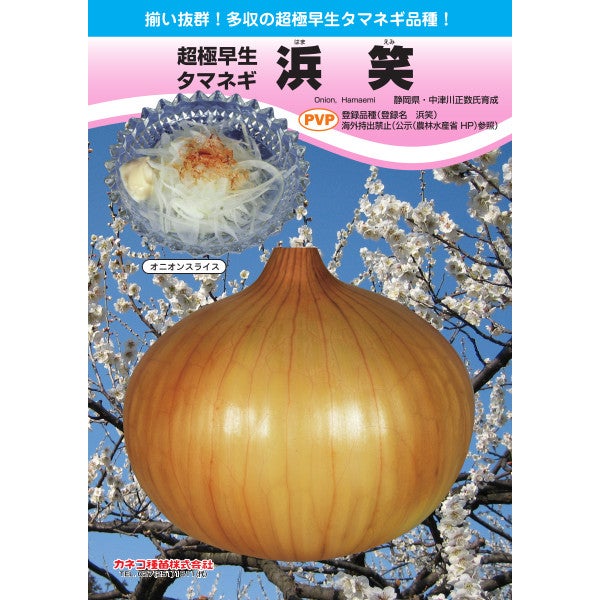種子小袋 【タマネギ】 早どり玉ねぎ ネオポロン颯(3.5ml) 【トーホク