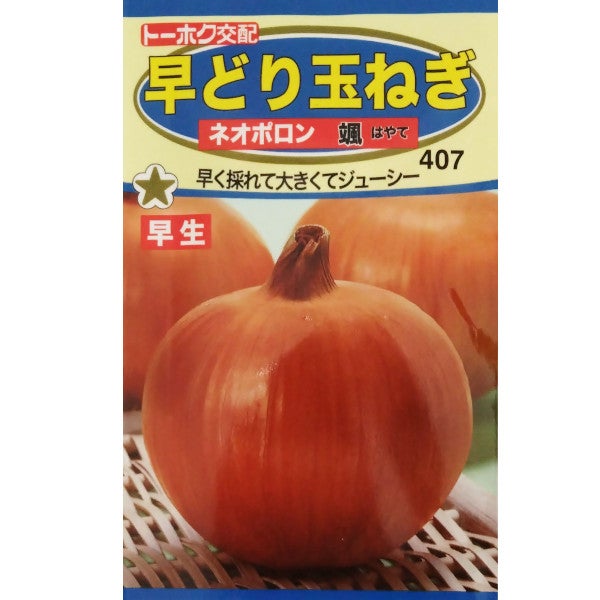種子小袋 【タマネギ】 早どり玉ねぎ ネオポロン颯(3.5ml) 【トーホク