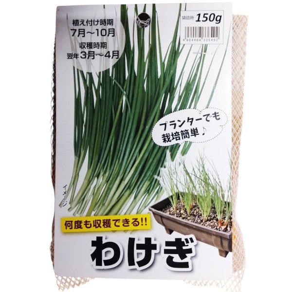 球根 わけぎ 150g | 農家のお店おてんとさん