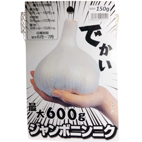 球根 ジャンボニンニク 150g | 農家のお店おてんとさん